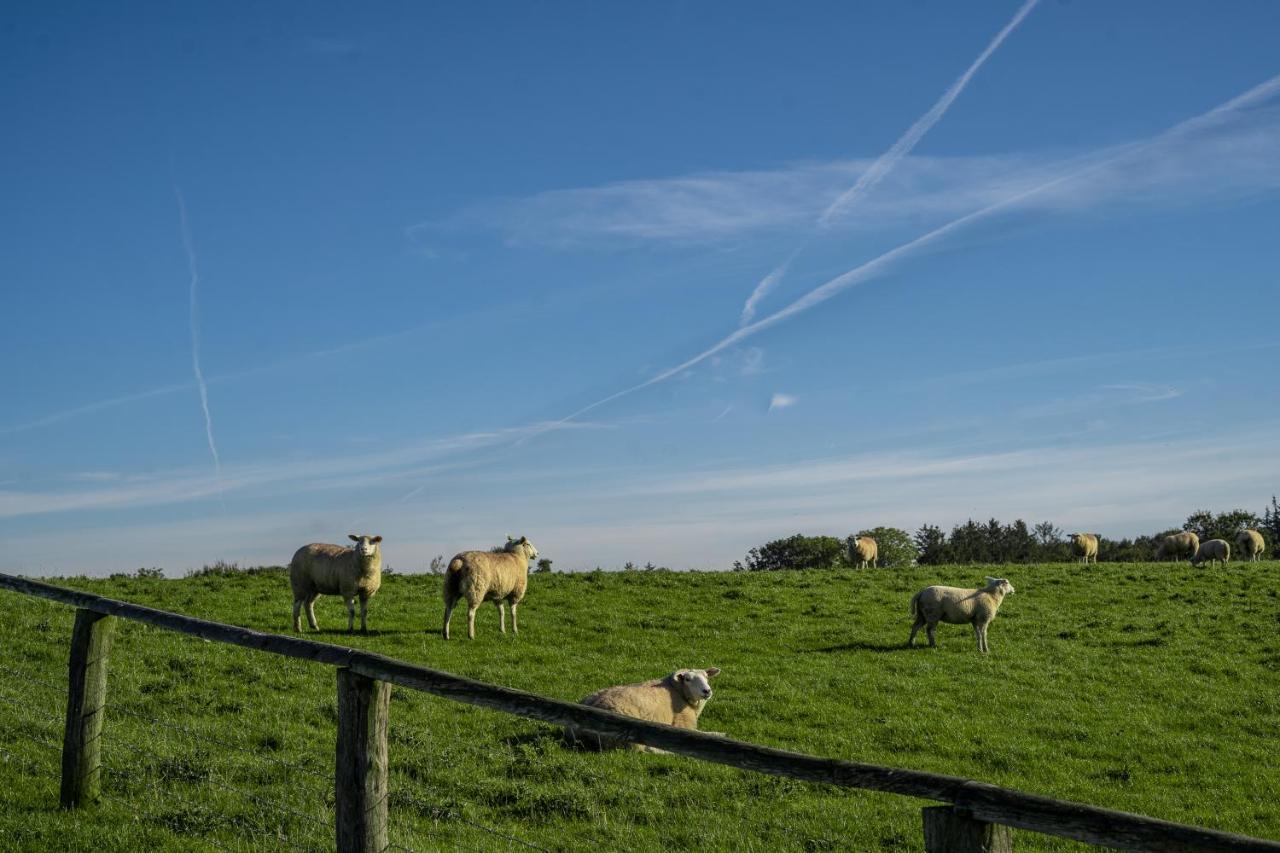 Gasthaus Lammkontor Husum  Exteriér fotografie